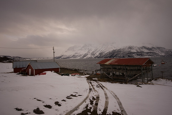 Cabane de pêcheur et abri pour sécher les morues - Svensby - Norway