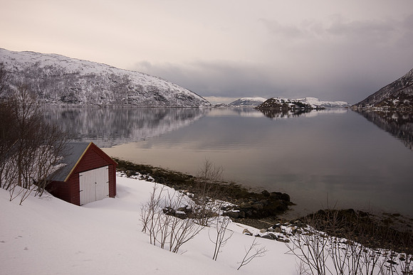 Fjord de la presqu'île de Kvaloya - Presqu'île de Kvaloya - Norway