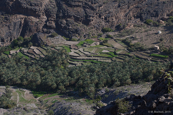 Trekking en Oman - novembre 2014