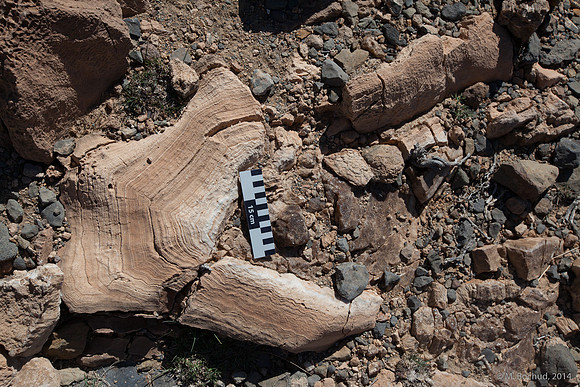 Trekking en Oman - novembre 2014