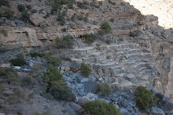 Trekking en Oman - novembre 2014