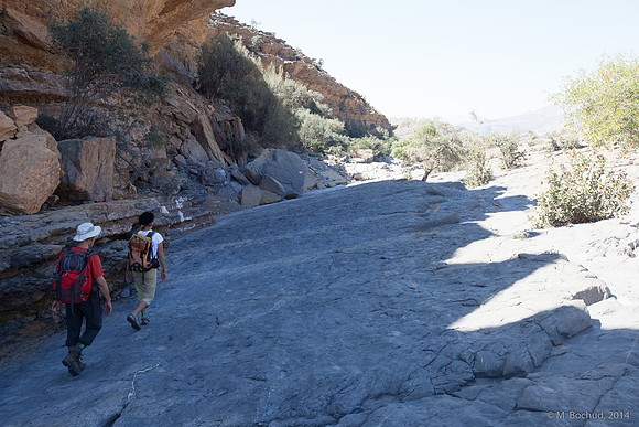 Trekking en Oman - novembre 2014