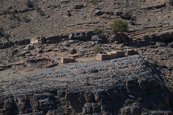 Trekking en Oman - novembre 2014
