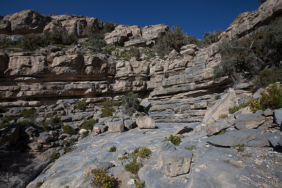 Trekking en Oman - novembre 2014