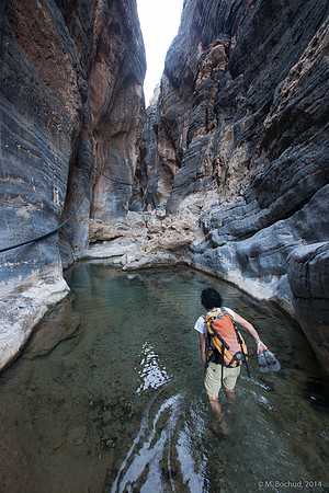 Trekking en Oman - novembre 2014