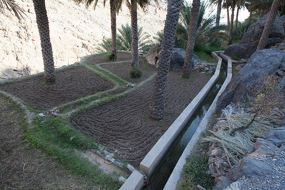 Trekking en Oman - novembre 2014