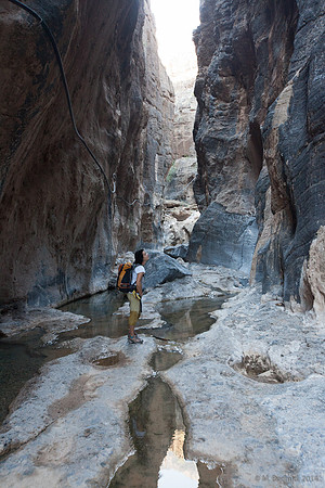 Trekking en Oman - novembre 2014