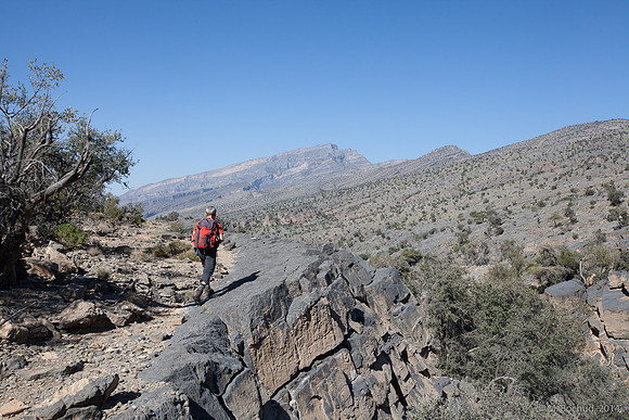 Trekking en Oman - novembre 2014