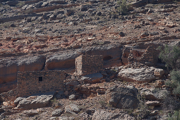 Trekking en Oman - novembre 2014