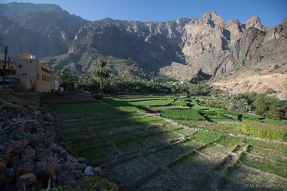 Trekking en Oman - novembre 2014