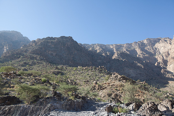 Trekking en Oman - novembre 2014