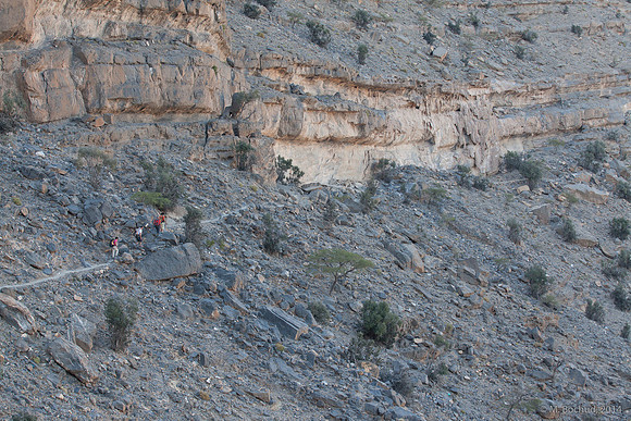 Trekking en Oman - novembre 2014