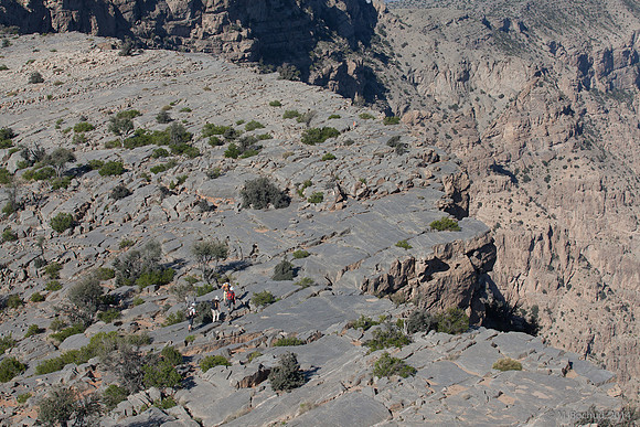 Trekking en Oman - novembre 2014