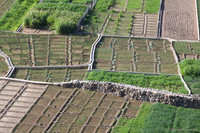 2014_11_Oman