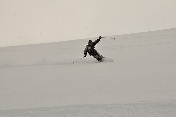 Rémy - Furuflaten - Norway