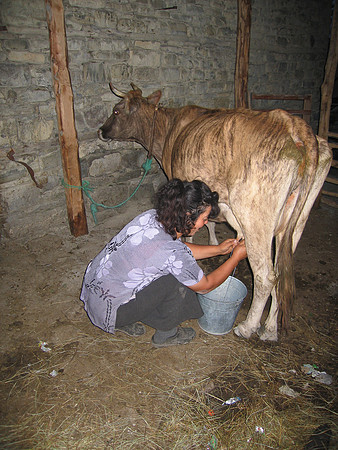 Diploma work in Azerbaijan - August 2004