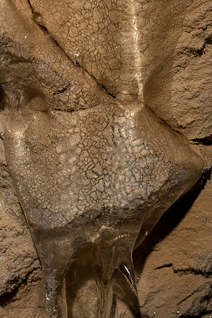 20091121_Diablotins-022
