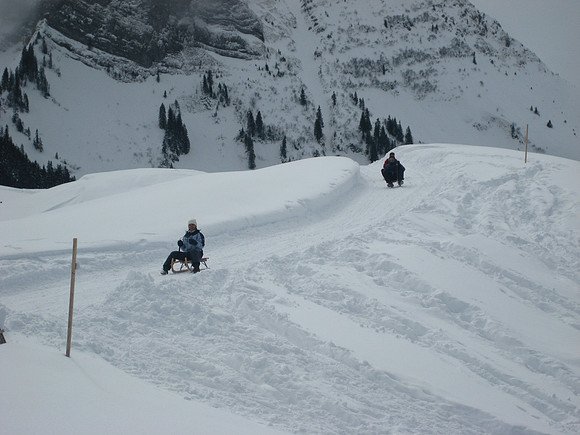Journée de luge à Moléson