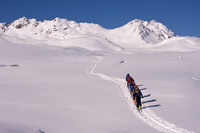 Sentishorn - Davos - Switzerland
