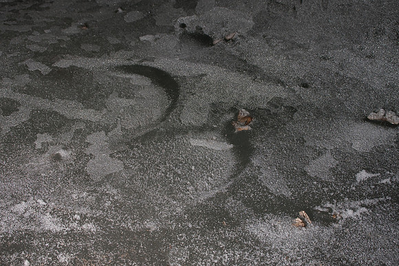 20091121_Diablotins-026